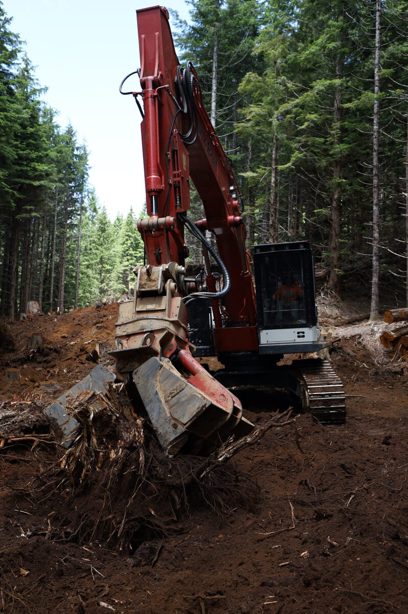 Brush and land clearing